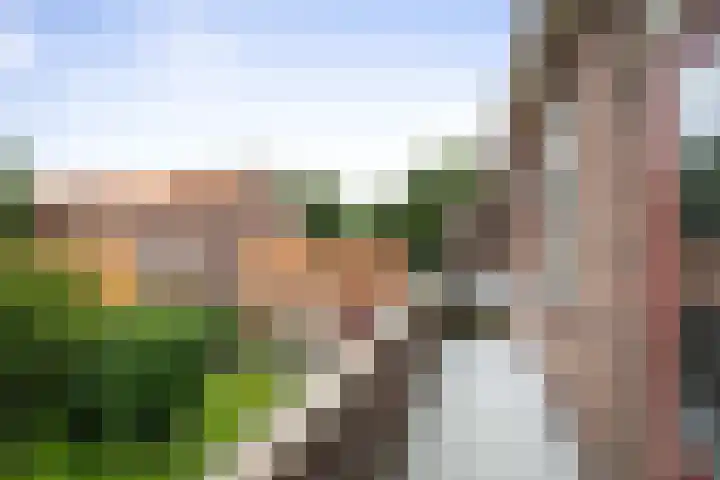 Dapperstraat 12 Deventer thumbnail 7