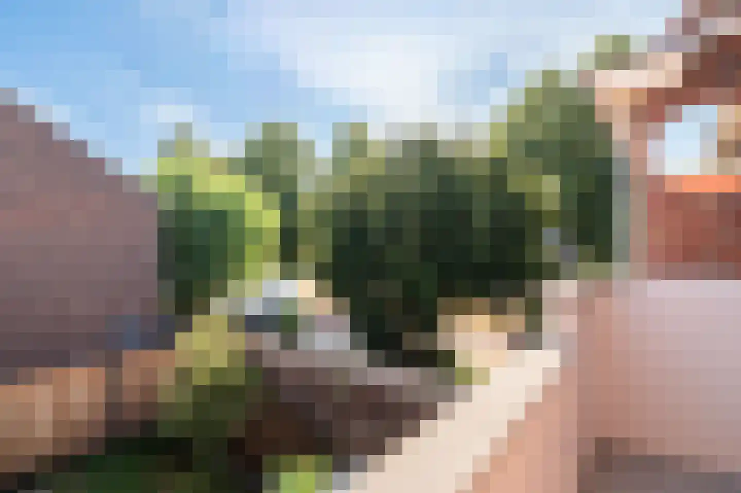 Dapperstraat 4 Deventer thumbnail 13