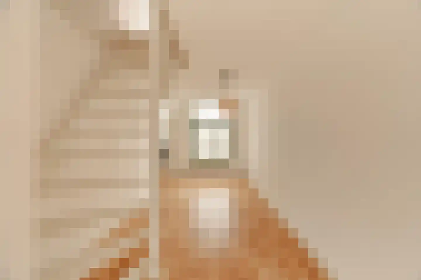 Dapperstraat 8 3 Amsterdam thumbnail 12