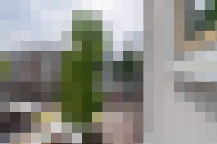Dapperstraat 80 G Amsterdam thumbnail 27