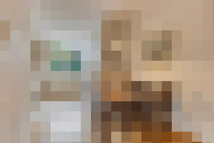 Dardanuspad 14 Eindhoven thumbnail 10