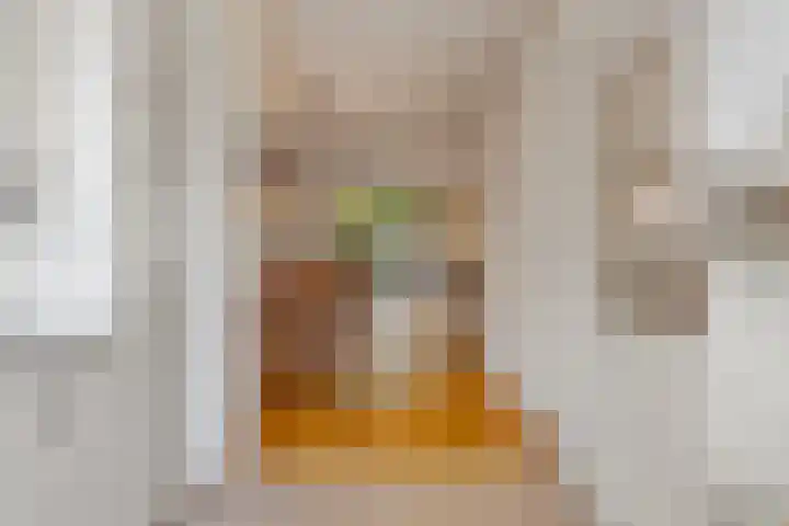 Dardanuspad 14 Eindhoven thumbnail 12