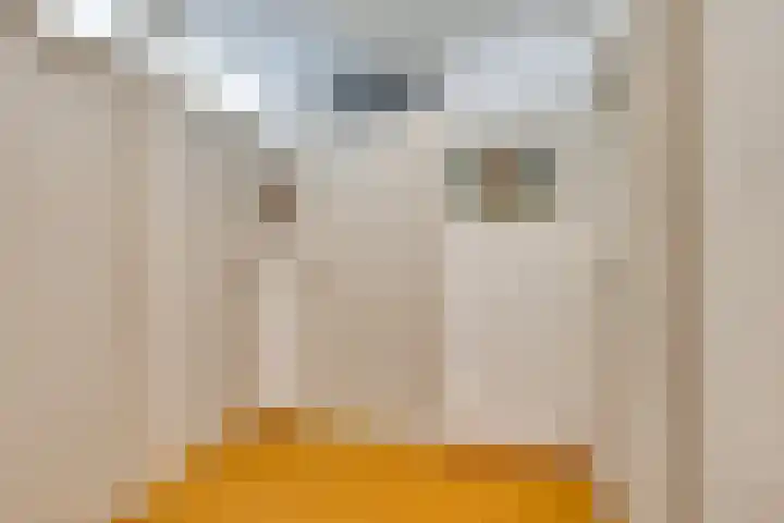 Dardanuspad 14 Eindhoven thumbnail 14