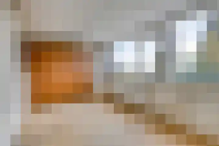 Dardanuspad 14 Eindhoven thumbnail 15