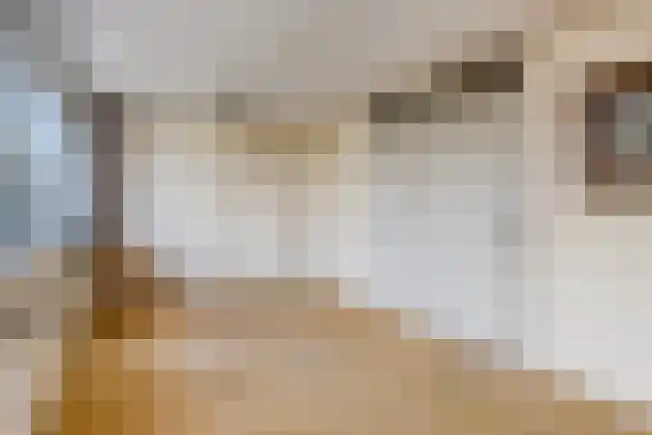 Dardanuspad 14 Eindhoven thumbnail 16