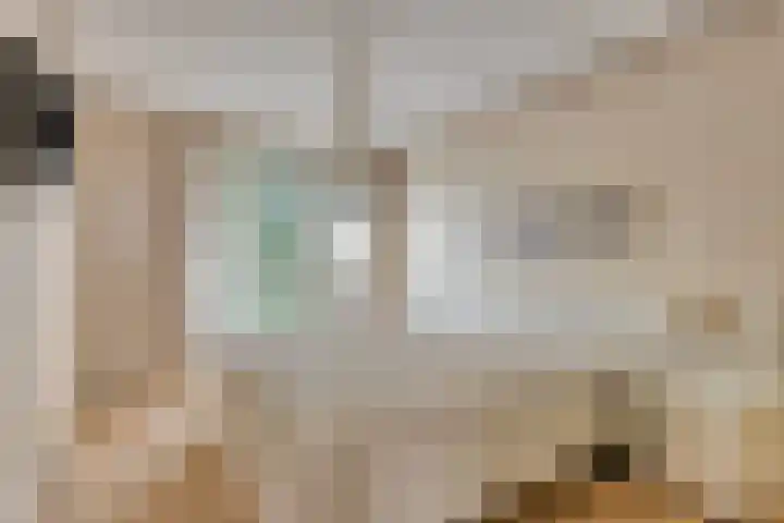 Dardanuspad 14 Eindhoven thumbnail 18
