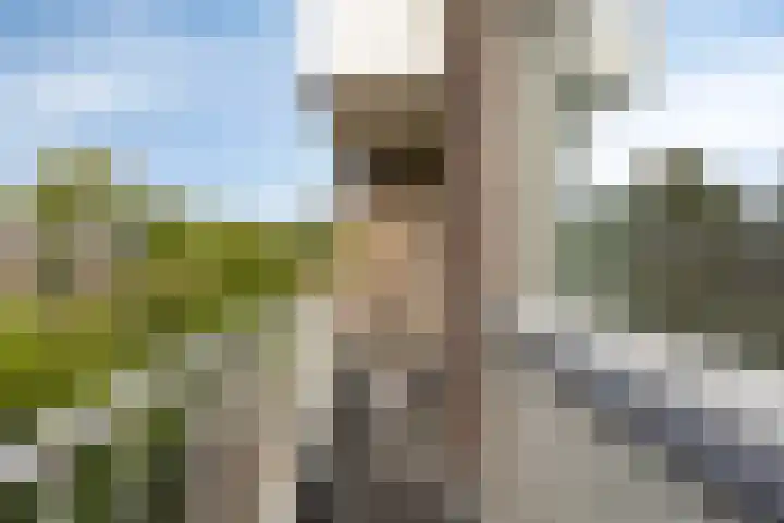 Dardanuspad 14 Eindhoven thumbnail 19