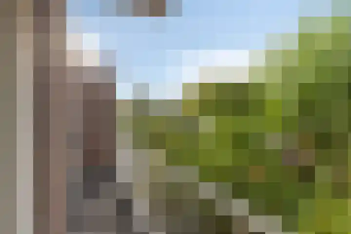 Dardanuspad 14 Eindhoven thumbnail 20