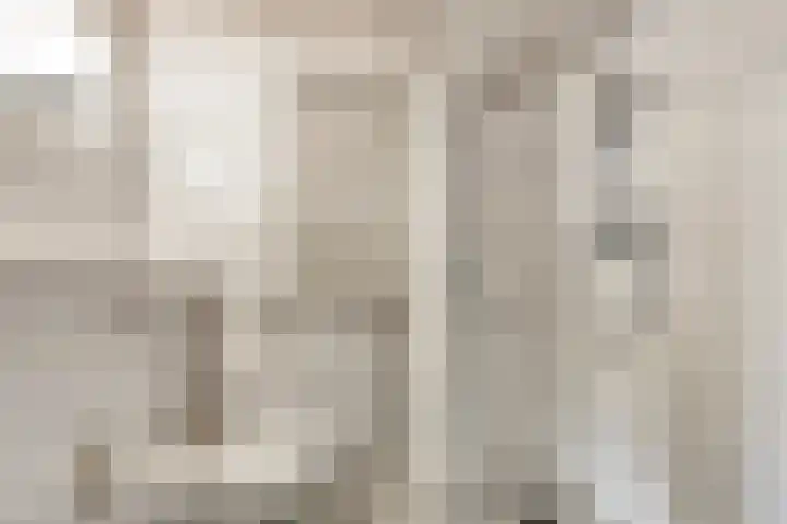 Dardanuspad 14 Eindhoven thumbnail 21