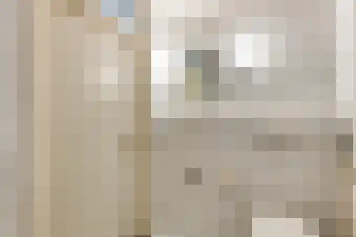 Dardanuspad 14 Eindhoven thumbnail 22