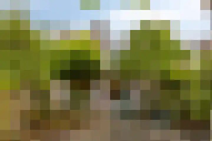 Dardanuspad 14 Eindhoven thumbnail 23