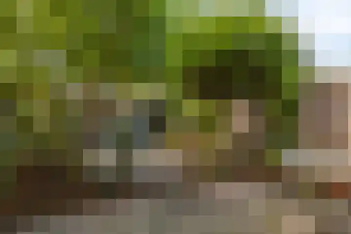 Dardanuspad 14 Eindhoven thumbnail 24