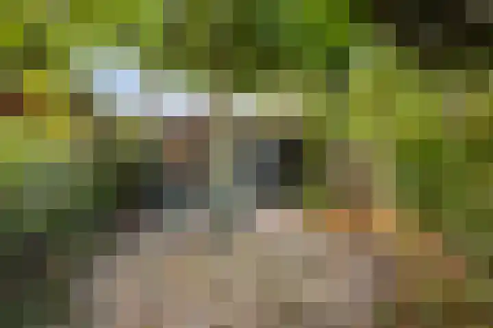 Dardanuspad 14 Eindhoven thumbnail 25