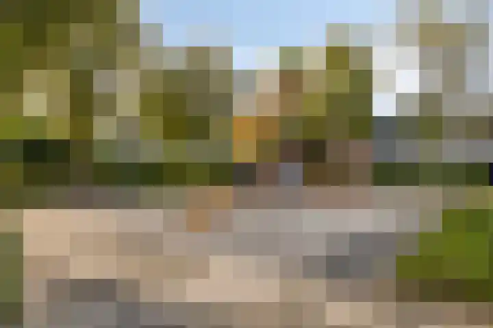 Dardanuspad 14 Eindhoven thumbnail 29