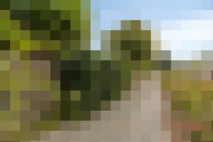 Dardanuspad 14 Eindhoven thumbnail 4