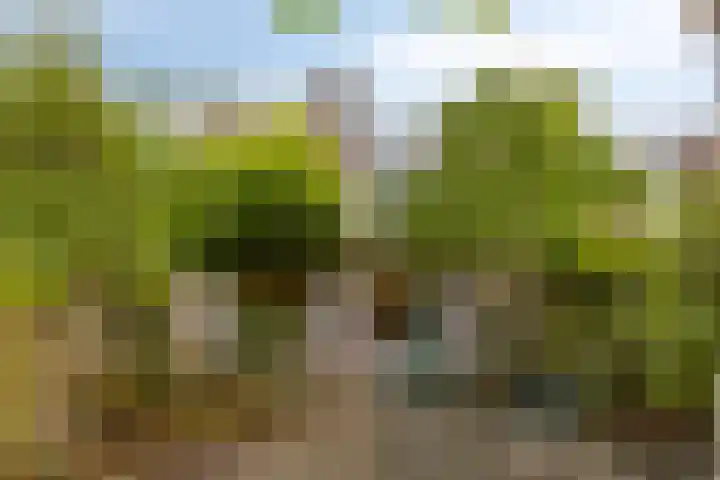 Dardanuspad 14 Eindhoven thumbnail 6