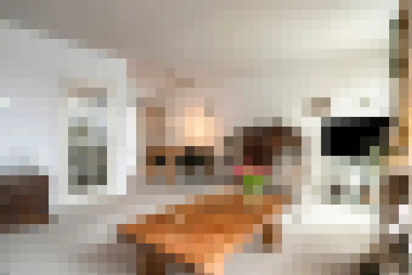 Dardanuspad 7 Eindhoven thumbnail 10