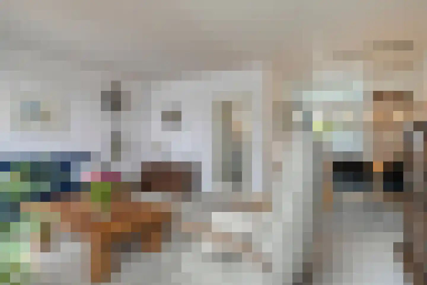 Dardanuspad 7 Eindhoven thumbnail 12