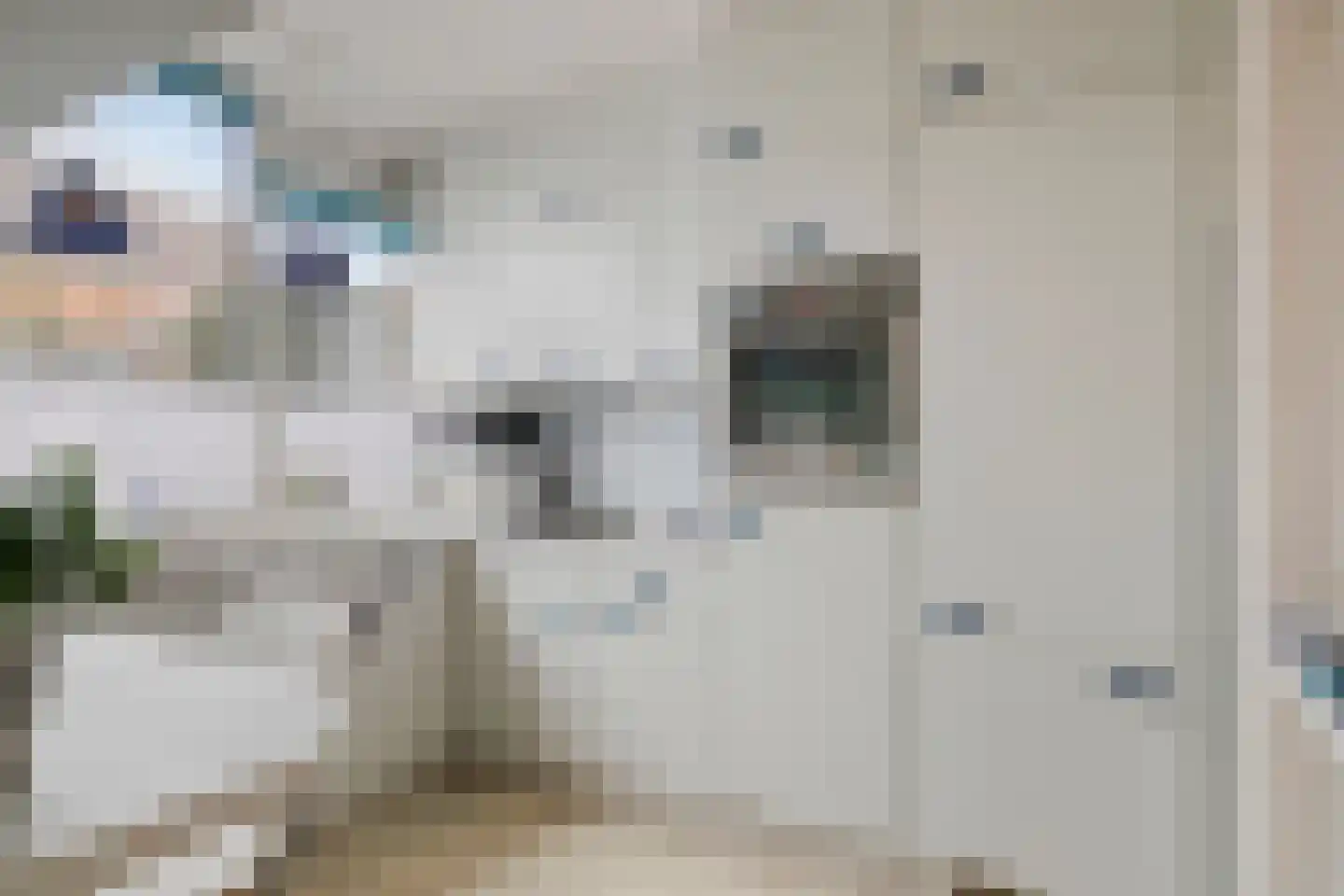 Dardanuspad 7 Eindhoven thumbnail 18