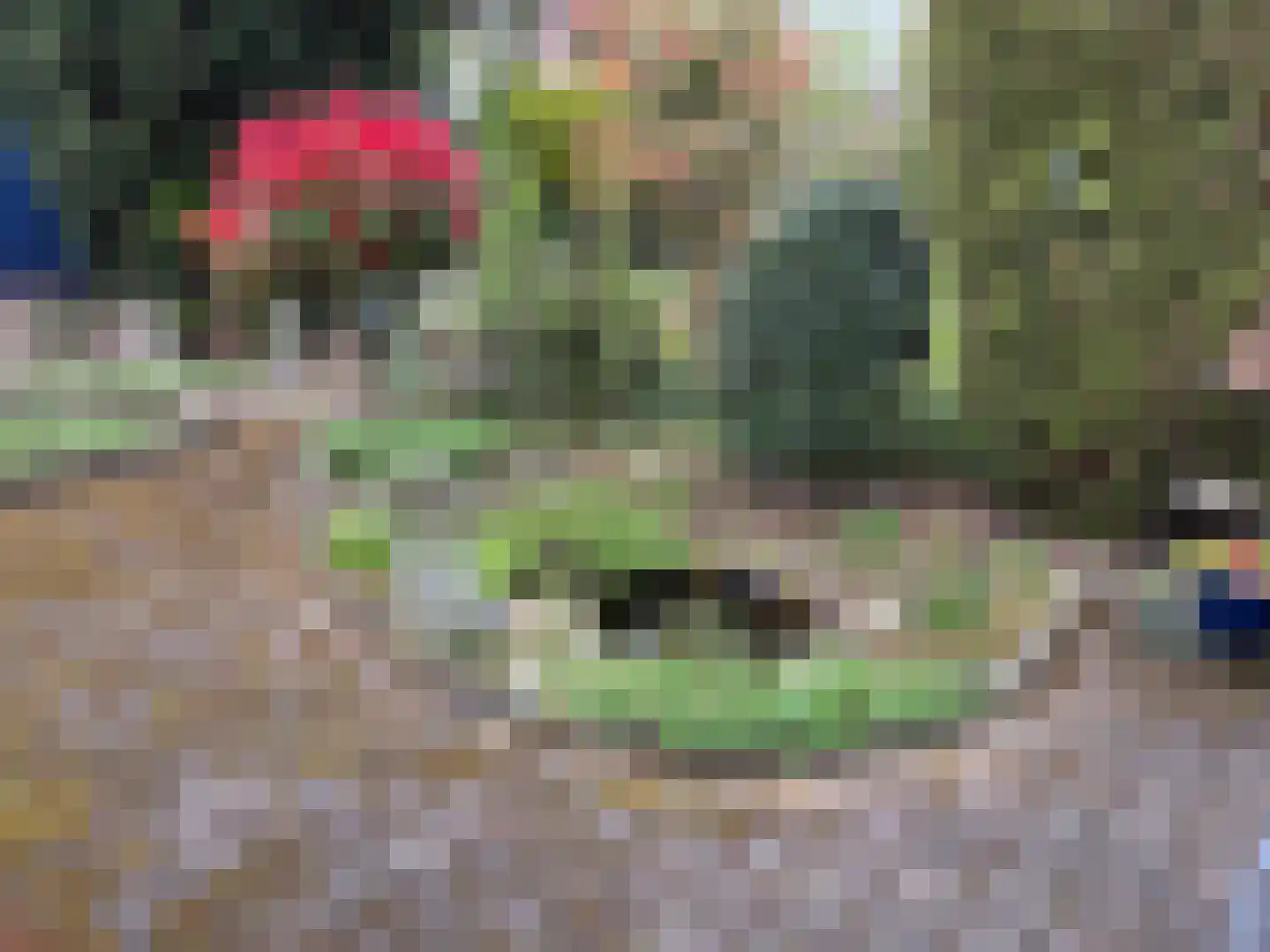 Dardanuspad 7 Eindhoven thumbnail 38