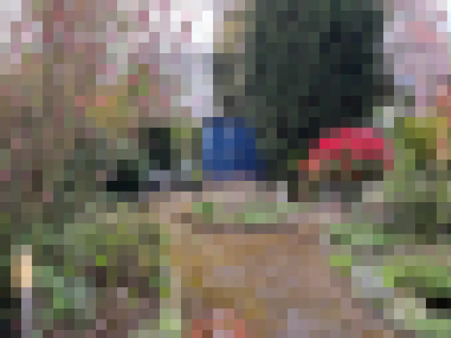 Dardanuspad 7 Eindhoven thumbnail 39