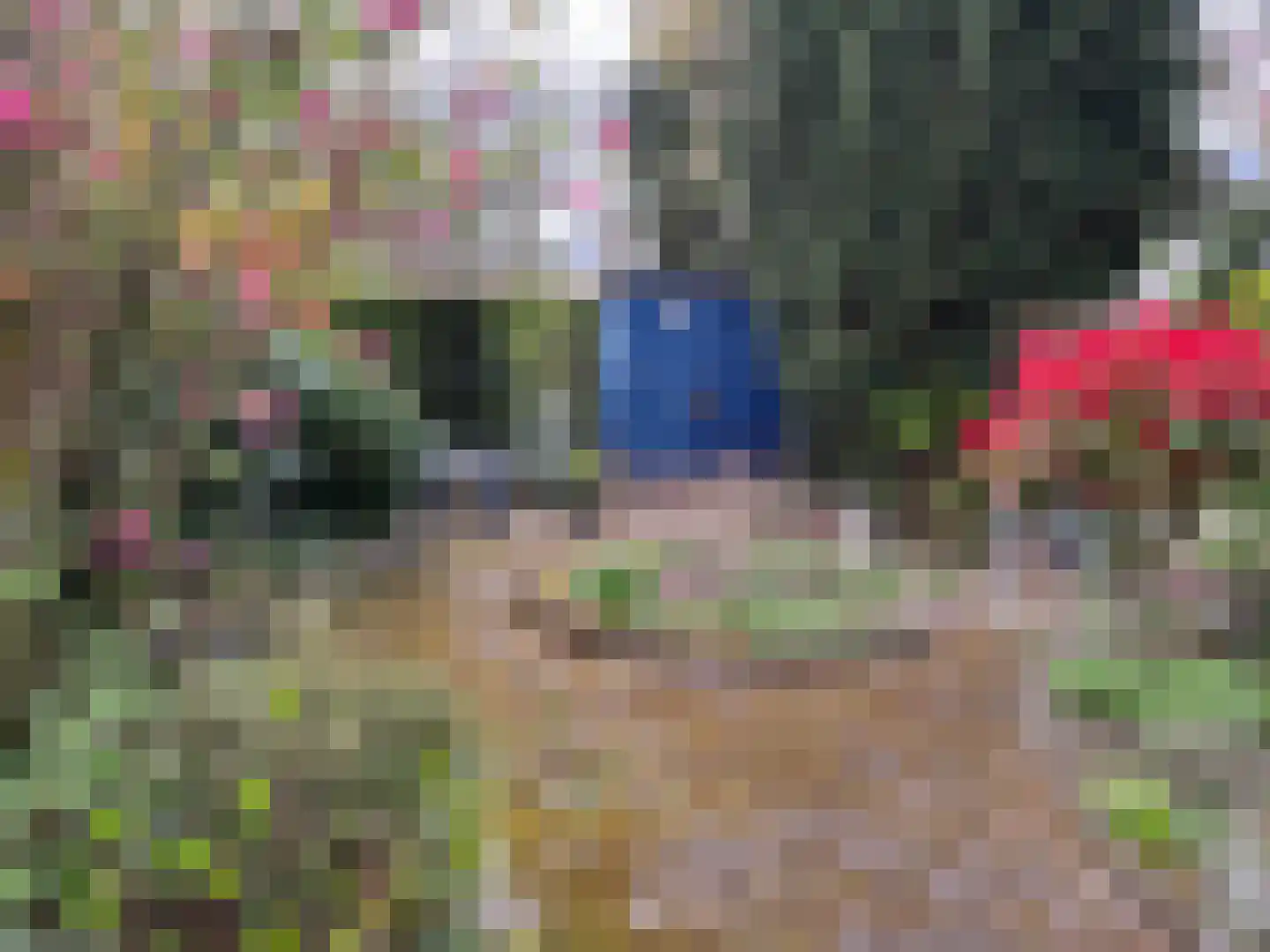 Dardanuspad 7 Eindhoven thumbnail 4