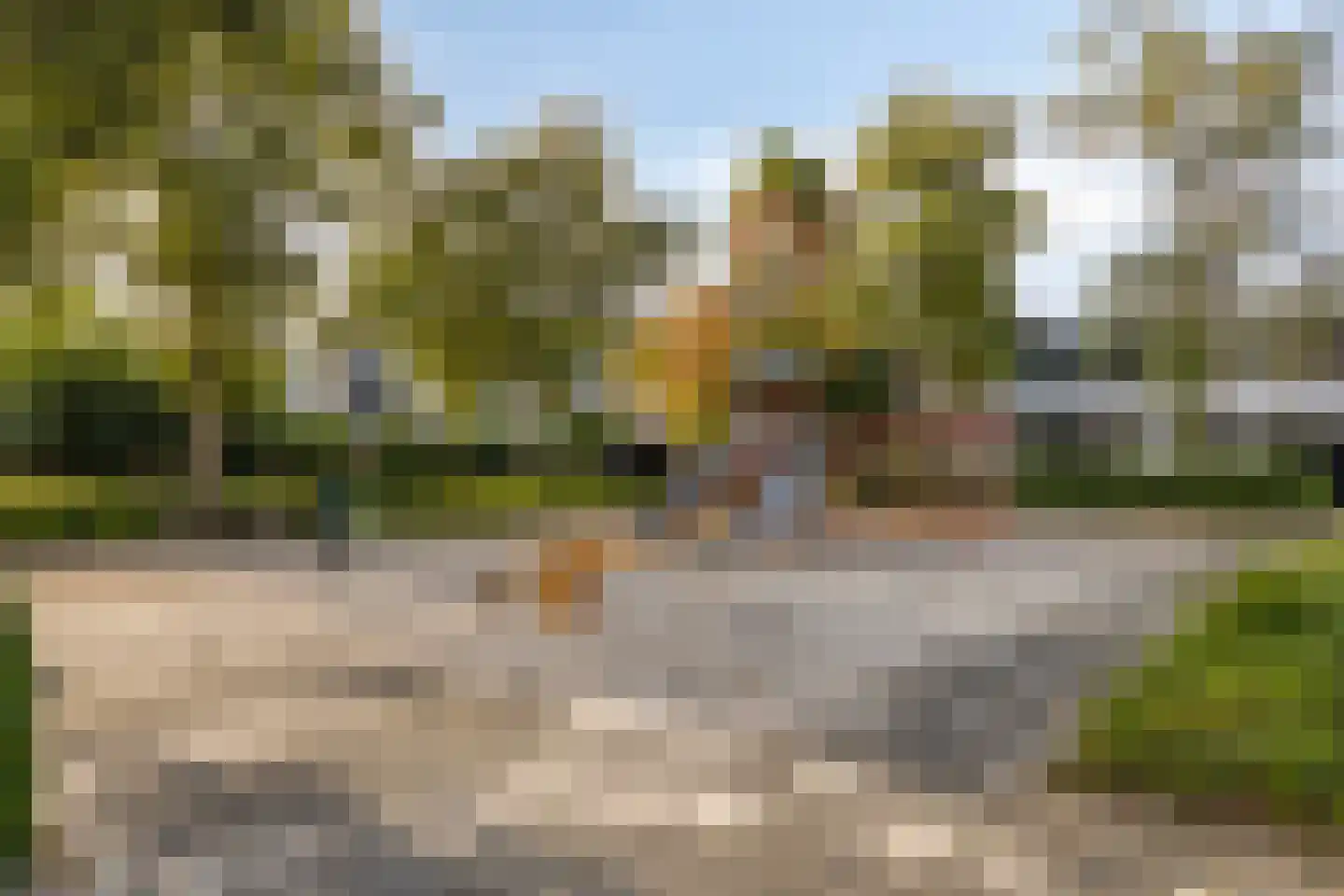 Dardanuspad 7 Eindhoven thumbnail 40