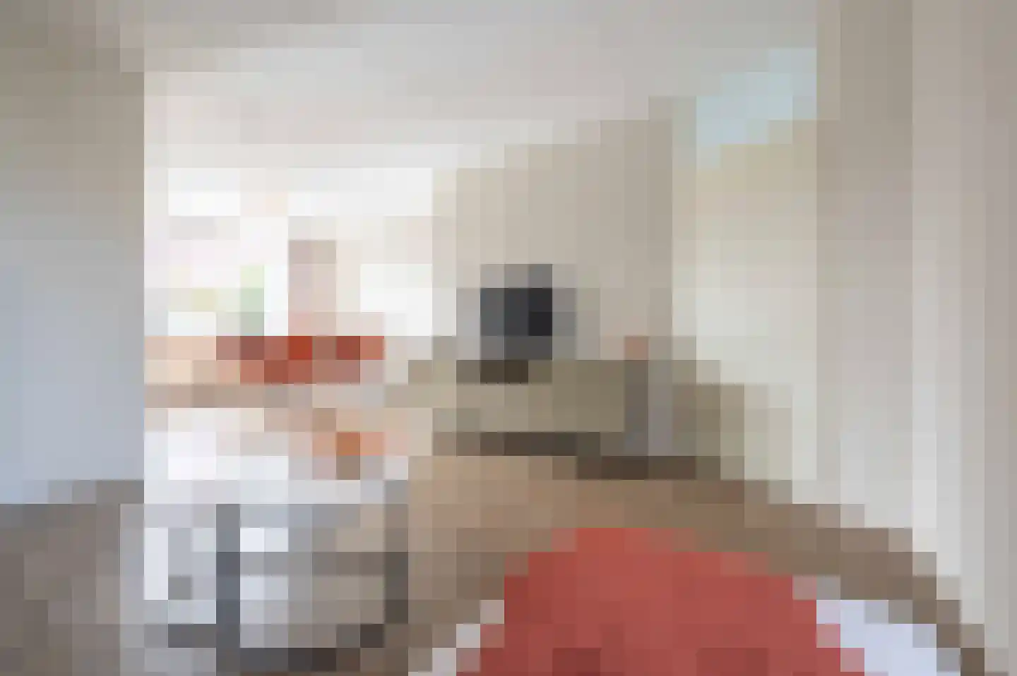 Darinkveld 39 Oudenbosch thumbnail 13