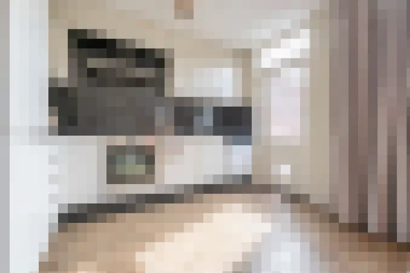 Darinkveld 39 Oudenbosch thumbnail 16