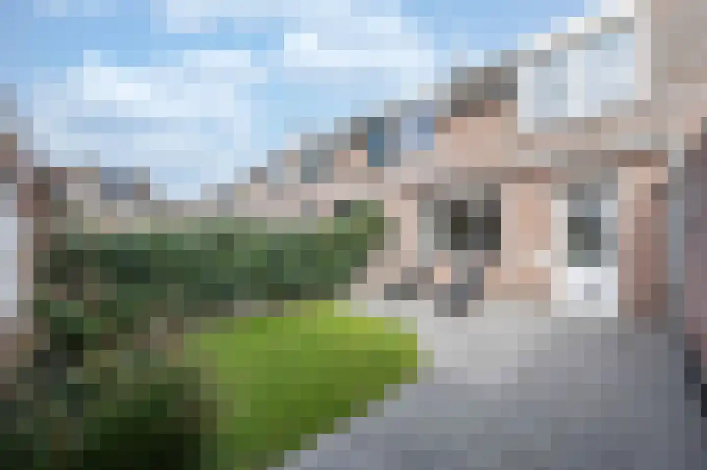 Darinkveld 39 Oudenbosch thumbnail 20