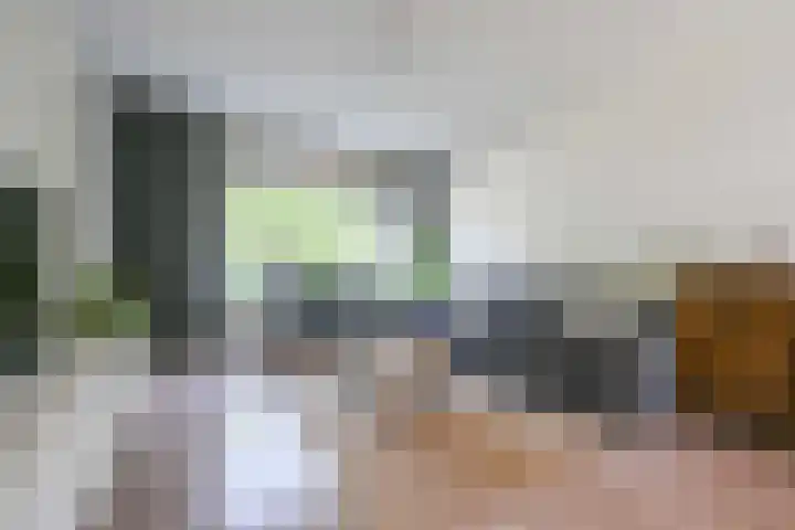 Darinkveld 40 Oudenbosch thumbnail 10