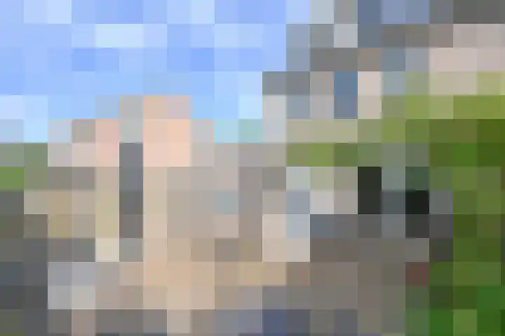 Darinkveld 40 Oudenbosch thumbnail 22