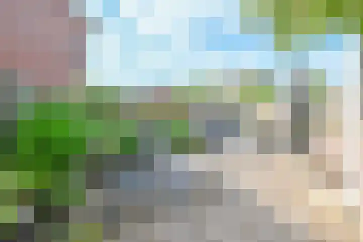 Darinkveld 40 Oudenbosch thumbnail 24
