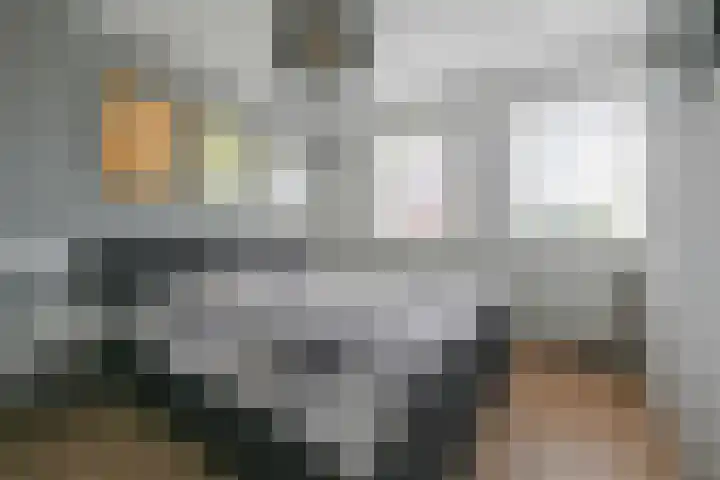 Darinkveld 40 Oudenbosch thumbnail 32