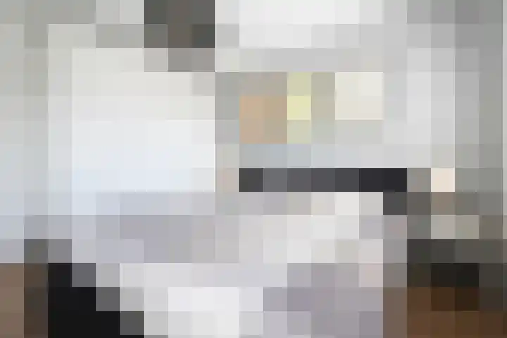 Darinkveld 40 Oudenbosch thumbnail 33