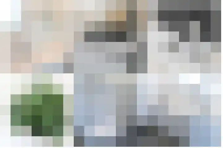 Darinkveld 40 Oudenbosch thumbnail 35