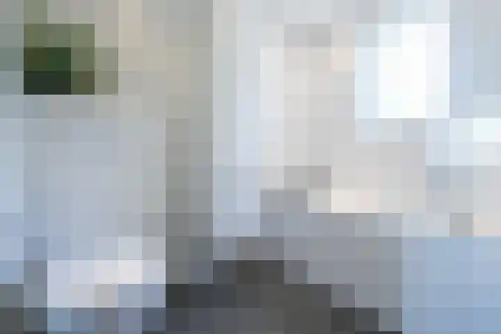 Darinkveld 40 Oudenbosch thumbnail 38