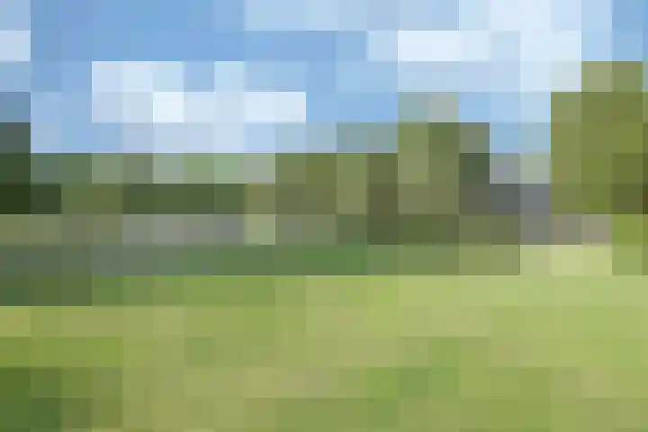 Darinkveld 40 Oudenbosch thumbnail 4
