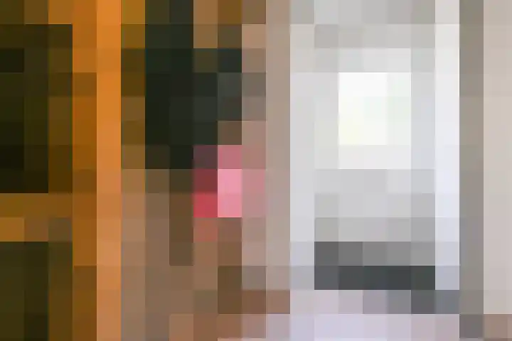 Darinkveld 40 Oudenbosch thumbnail 7