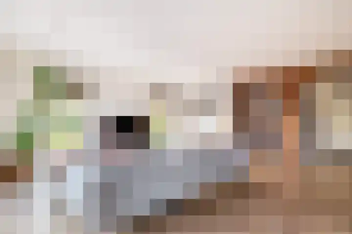 Darperkerkweg 5 Darp thumbnail 10