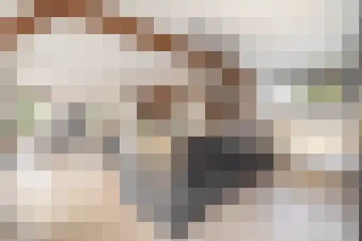 Darperkerkweg 5 Darp thumbnail 15