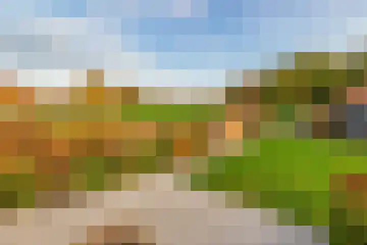 Darperkerkweg 5 Darp thumbnail 26