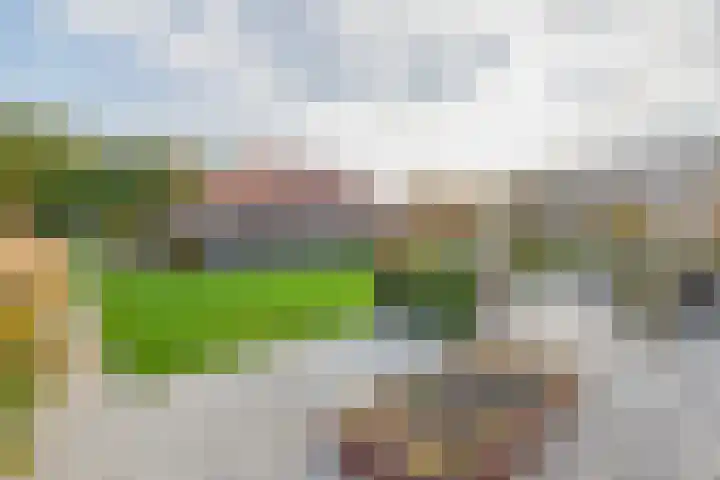 Darperkerkweg 5 Darp thumbnail 27