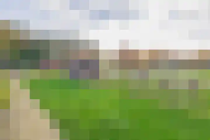 Darperkerkweg 5 Darp thumbnail 30