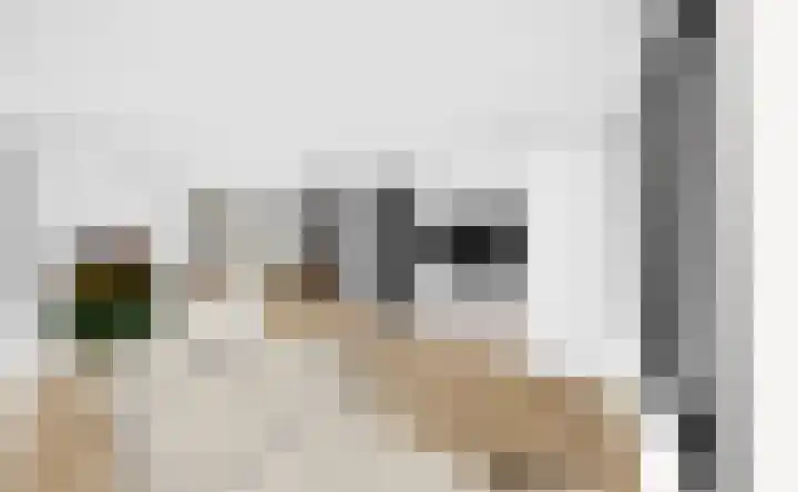 Darperkerkweg 5 Darp thumbnail 31