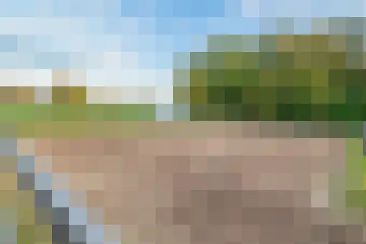 Darperkerkweg 5 Darp thumbnail 31