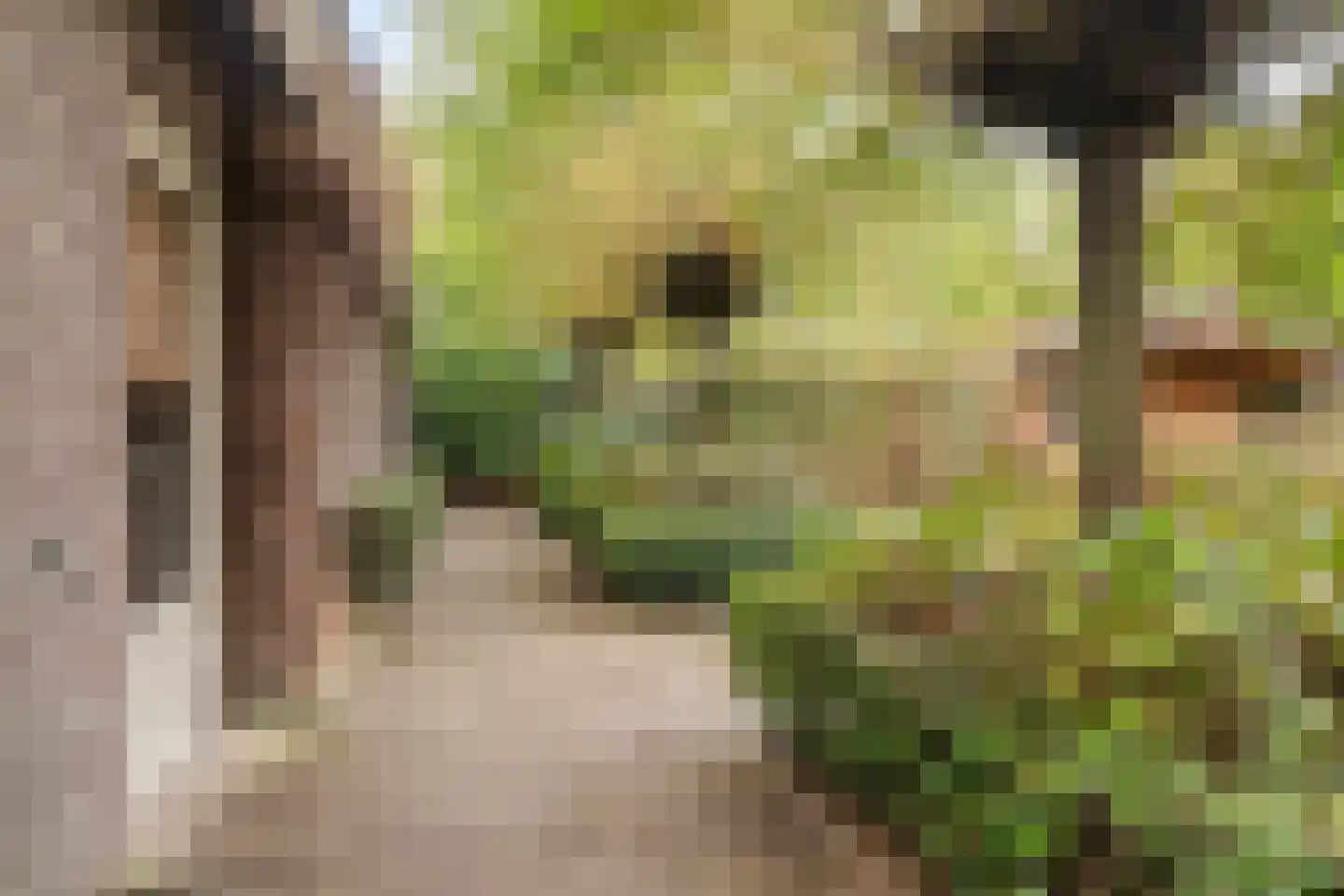 Darperkerkweg 5 Darp thumbnail 33