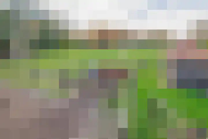 Darperkerkweg 5 Darp thumbnail 33