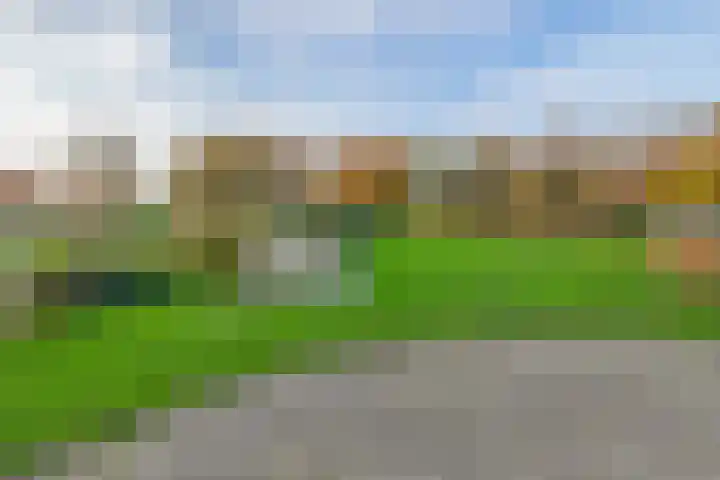 Darperkerkweg 5 Darp thumbnail 34