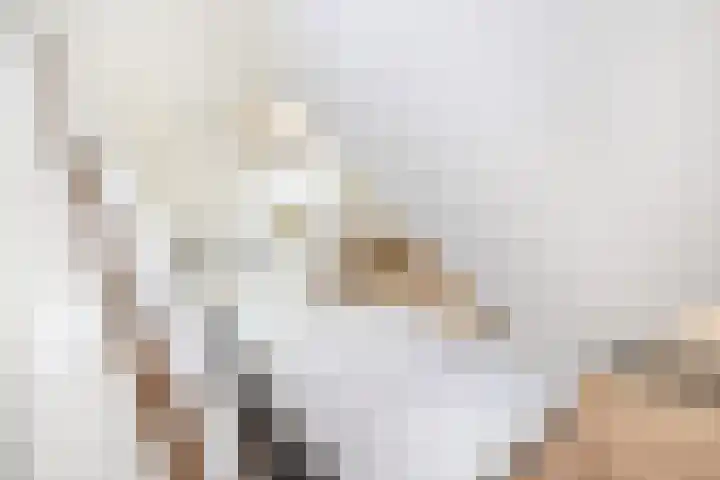 Darperkerkweg 5 Darp thumbnail 41